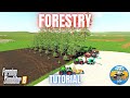 How to Do Forestry in Farming Simulator 19!!