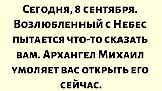 : , 8       -  .    .