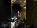 i mounted a camera on a Rabbit...into its secret