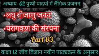 लघु बीजाणु जनन तथा परागकण का निर्माण || class 12th biology chapter 2nd || part 03