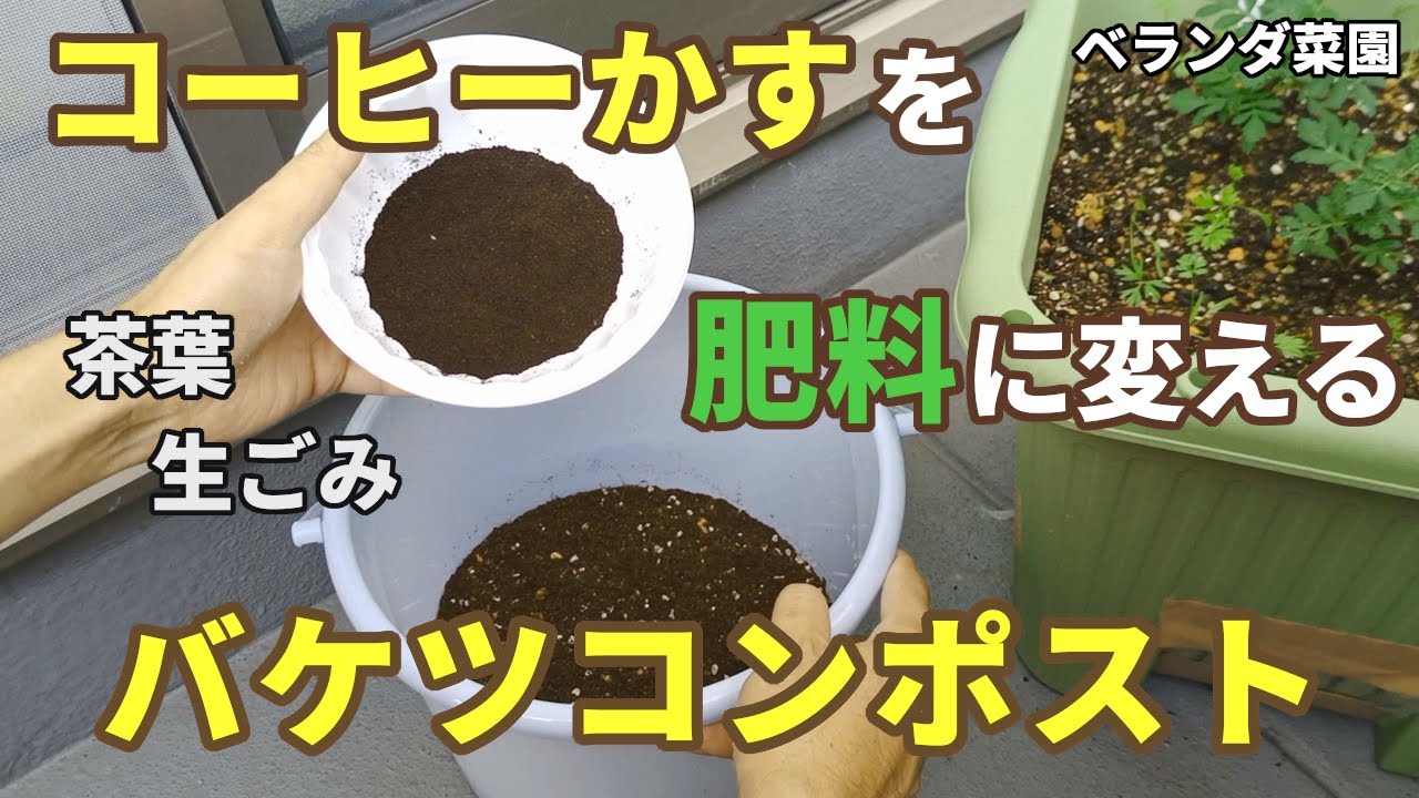 ベランダ菜園 生ごみをたい肥に バケツコンポストの作り方 コーヒー豆 Youtube