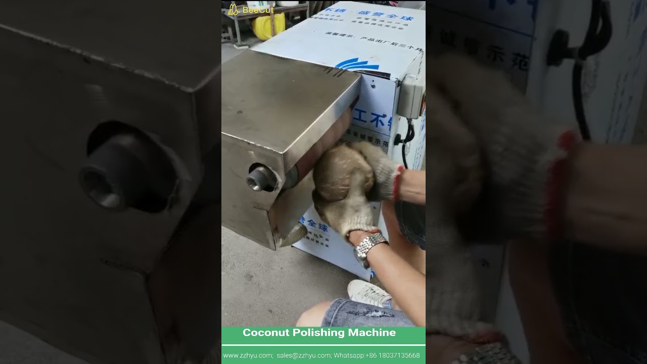 Coconut Polishing  Machine www.zzhyu.com