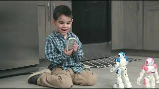 The Gesturebot