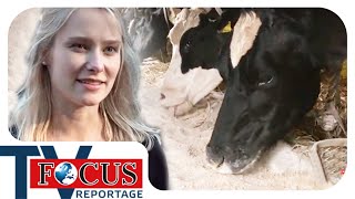 Bauern in der Krise: Wie Landwirte um ihre Existenz kämpfen | Focus TV Reportage