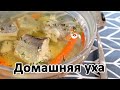 Уха из хека