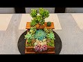 Repurposed Old Wooden Box Succulent Arrangement