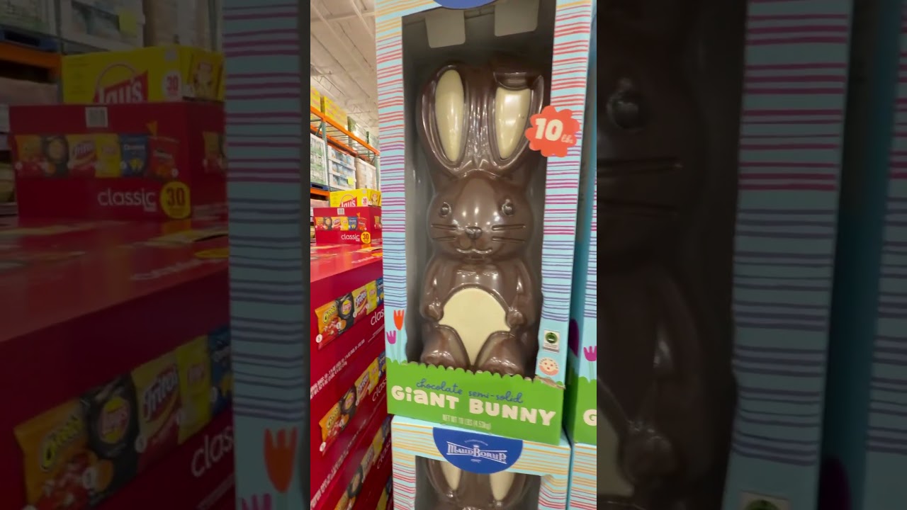 Costco Chocolate Easter Bunny
