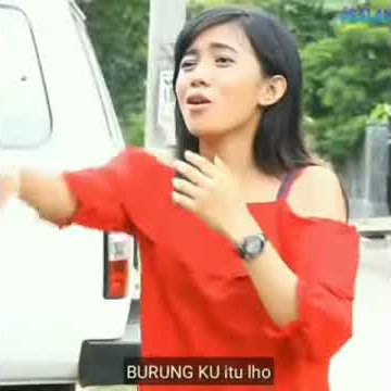 (Story wa) Manuk mu ketok pak😂