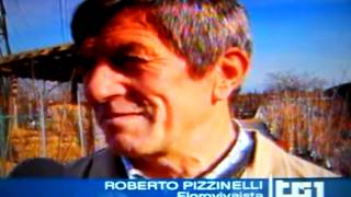 Roberto Pizzinelli - FRUTTI ANTICHI MARZE TG 1 www.roserifiorentissime.it Ciliverghe di Mazzano.AVI