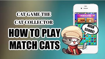 How To Play Match Cats | Cats Game The Cat Collector