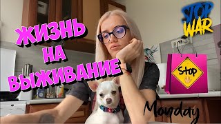 Тотальная экономия. Оплата за квартиру- Шок. Кира в подвале, связи нет.  Война . Как выжить?