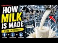 Inside a Milk Processing Plant 🥛 | How Milk Is Made in America 