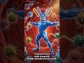 How Immune System Protect Over Body | Adaptive &amp; Innate immunity | #shortsfeed #shorts #lifescience