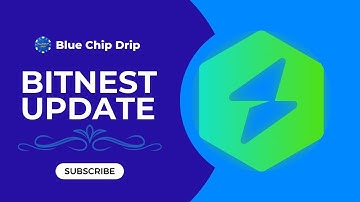 Bitnest Weekend Update