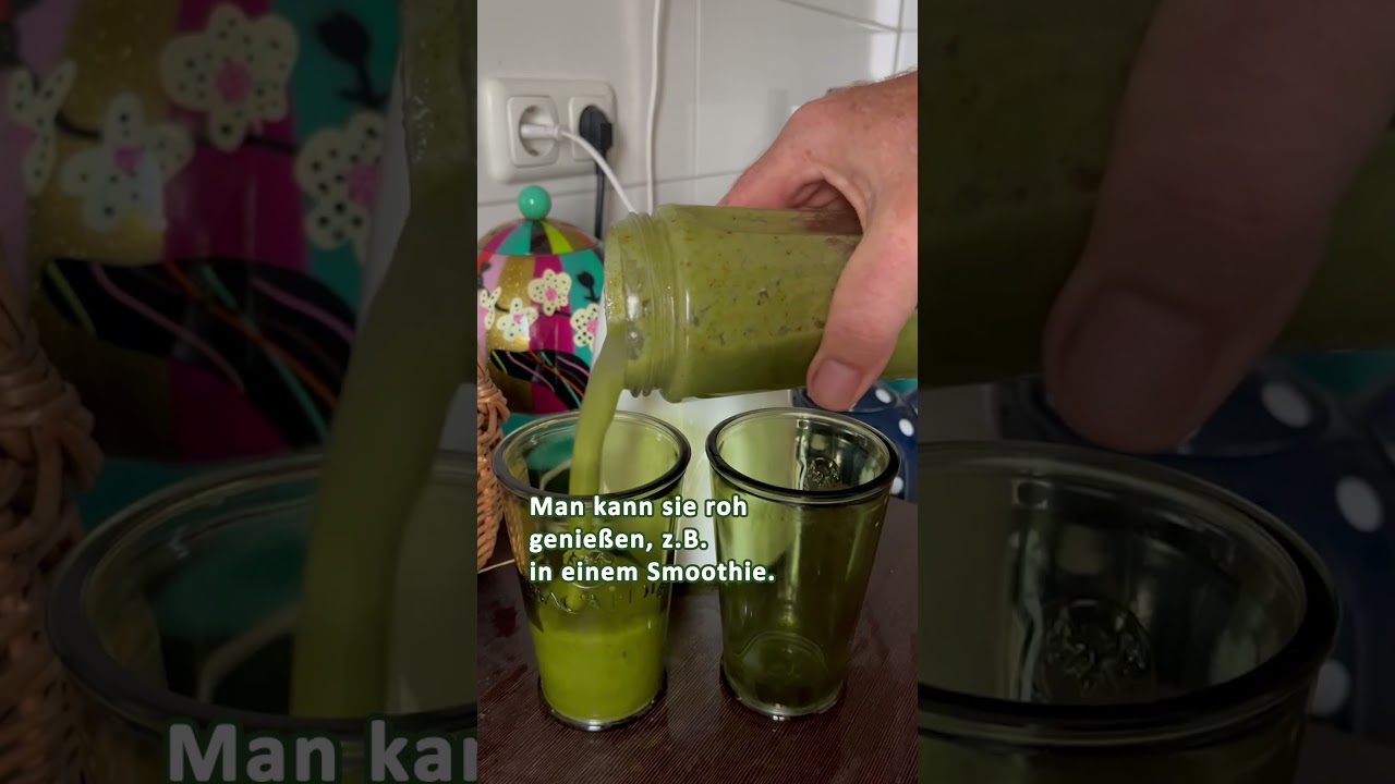 Baumspinat: Gemüse XXL