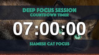 7 Hours of Pure Focus with a Calming Cat | Study Timer & Ambient Rain Companion