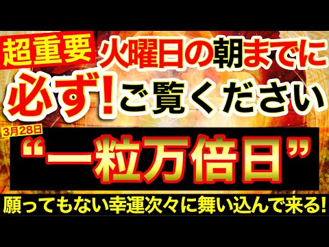 “一粒万倍日”の明日の朝までに必ずご覧ください⚠️【3月28日(火)大大吉日】このあと願ってもない幸運が次々に舞い込んでくる!!※収入幸運富倍増※🌟【奇跡が起こる高波動エネルギー動画】【邪気祓】