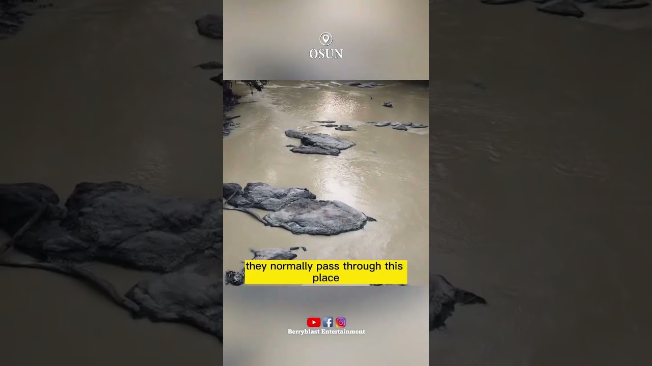 Inside Osun shrine | The Bridge 