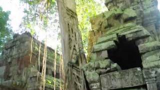 Inside Ta Prohm Temple 2010