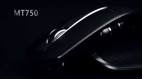 RAPOO Multi-mode Wireless Mouse-MT750
