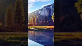 Sunset tree lake - pixabay video free download #shorts Sunset tree lake - pixabay video free download #shorts