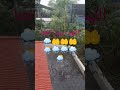 🌧️🌧️🌧️🌦️🌦️⛈️⛈️കുറച്ച് ദിവസങ്ങൾക്ക്  ശേഷം...