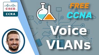 Free CCNA | Voice VLANs | Day 46 Lab | CCNA 200-301 Complete Course