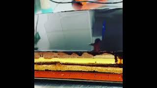 Opera gateau