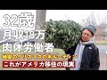 偏差値30男がアメリカに３年住んだ末路ll 地獄のクリスマスの木回収ルーティン