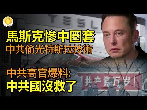 ?️♂️马斯克惨中圈套!中共偷光特斯拉技术;中共高官爆料:中共国没救了;拿黄金换命?被判S刑越南女首富突放话:有235亿美金黄金藏海里…空手套66亿后 中国车企董事长远遁美国【阿波罗网FT】