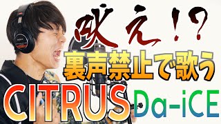 【これは叫び】裏声禁止でCITRUS全力で歌ってみた【オマケ付き】