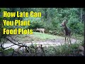 How Late Can You Plant Food Plots For Deer