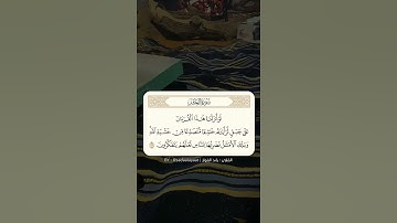 ﴿لا يَستَوي أَصحابُ النّارِ وَأَصحابُ الجَنَّة﴾ القارئ رائد الفواز