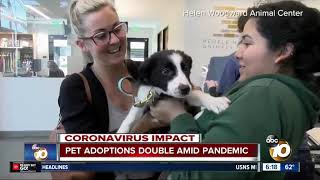 Pet adoptions double amid Coronavirus Pandemic