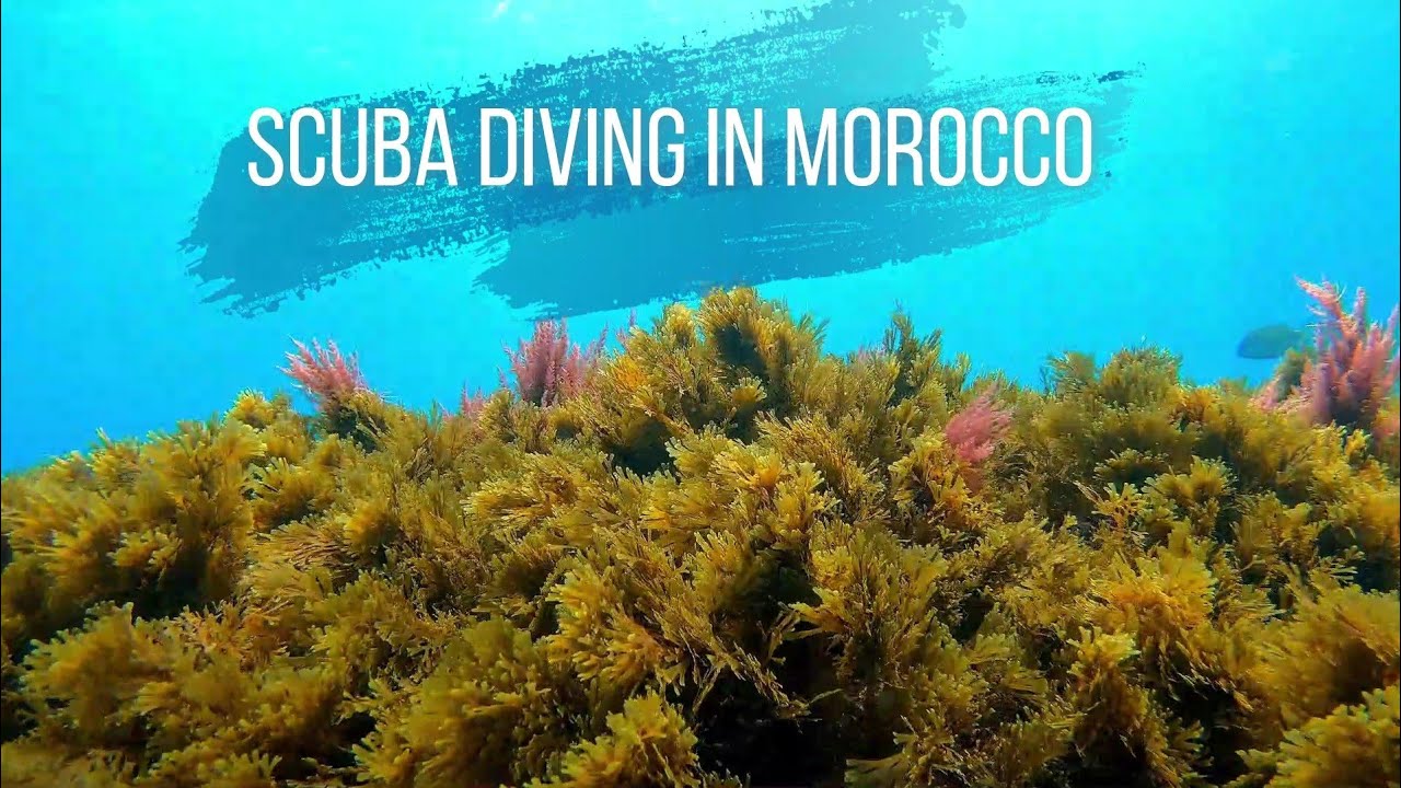 Scuba diving in Morocco YouTube