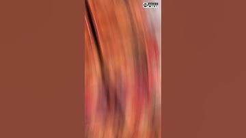 amaresh. kumar. gupta ♥️❣️❤️‍🩹