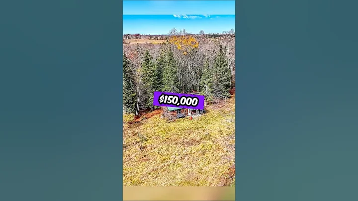 Maine Off Grid Cabin For Sale | 99 Acres | $150,000