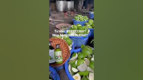 Xịt Tóc Bưởi Non chai 100ml (kích thích mọc tóc) | Tiệm Thuốc Bắc Sài Gòn | 0399523601 | 0399540601