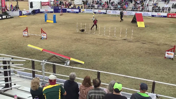 Marti 2022 Grand Prix Champion!