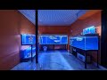 My fish tank room