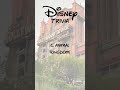 Disney Trivia #5 @Disney #disney #disneyworld #waltdisney #disneyland #youtubeshorts  #disneytrivia