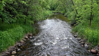 Understanding the hydrology of Nine Mile Creek