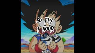 so fly 1 hour