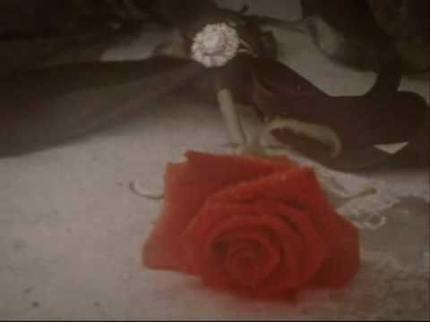 Kiss From A Rose- The Tale of the Phantom of the O...