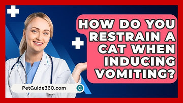 How Do You Restrain A Cat When Inducing Vomiting? - PetGuide360.com