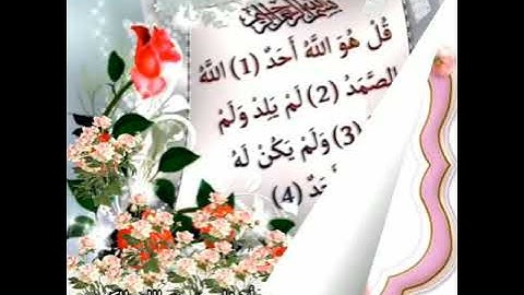 فضل سورة الإخلاص والمعوذتين🥀الشيخ محمد العريفي يوضح 🥀