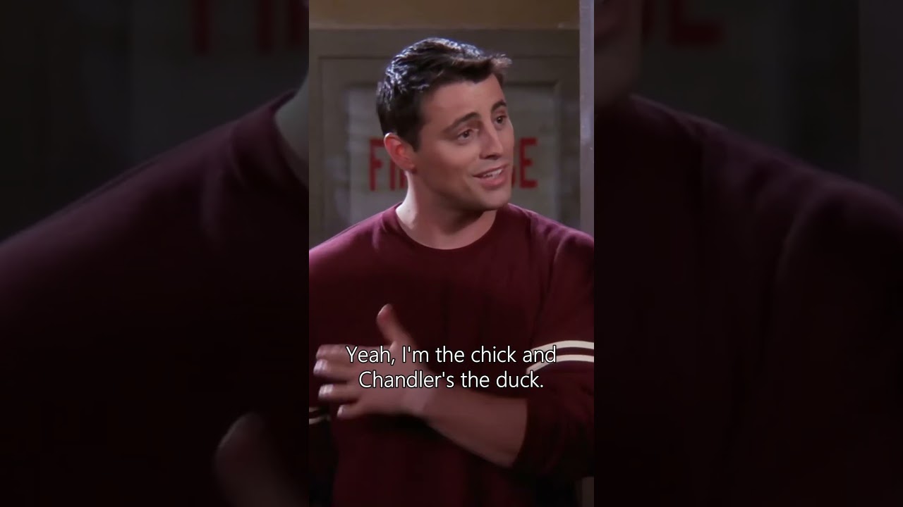 Chick and Duck | Friends Funny Moments