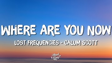 Lost Frequencies & Calum Scott - Where Are You Now (Lyrics)
