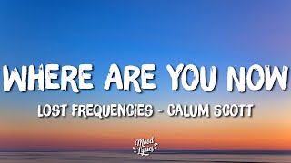 Lost Frequencies & Calum Scott - Where Are You Now (Lyrics) Resimi