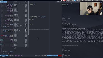 Advent of Code 2020 - Day 16 | !advent !python (399*, 254**)
